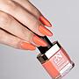 PN LW 305 Melon Slush 10 ml