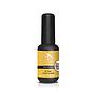 PN SOP 344 Cosy Corn 8 ml - hasta fin de existencias